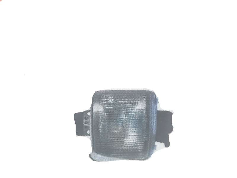 Isuzu GIGA 1997-on - Park Light PN: IZ094CR